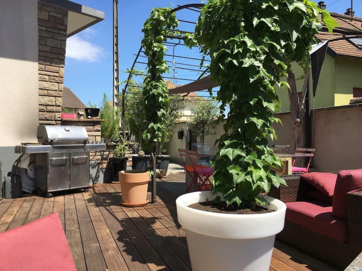 La Terrasse Selestadienne Селеста Екстер'єр фото