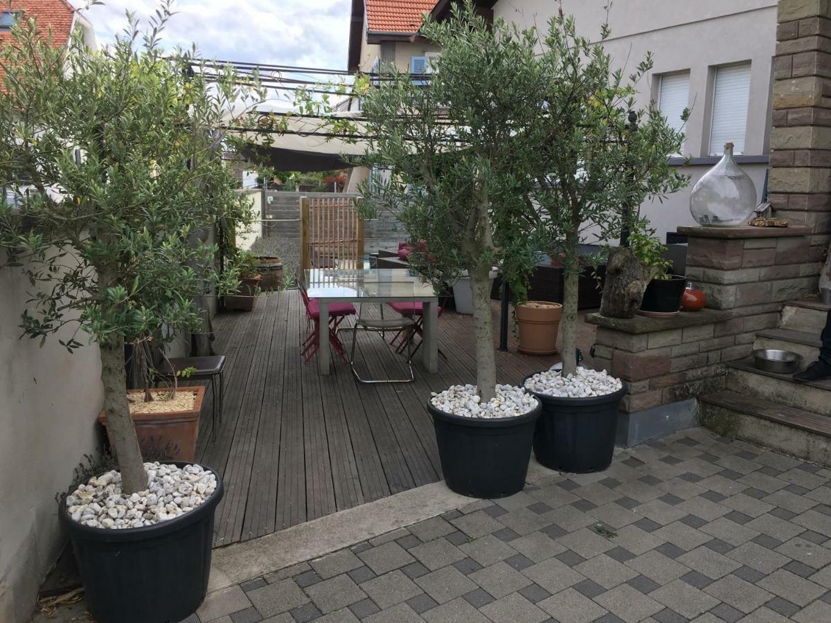 La Terrasse Selestadienne Селеста Екстер'єр фото